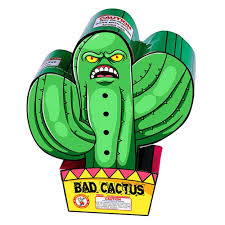 WINDA BAD CACTUS